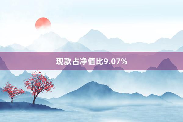 现款占净值比9.07%