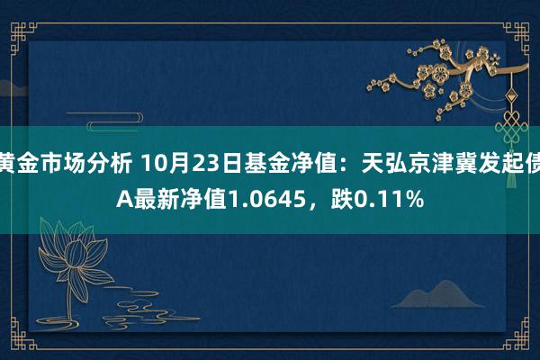 黄金市场分析 10月23日基金净值：天弘京津冀发起债A最新净值1.0645，跌0.11%