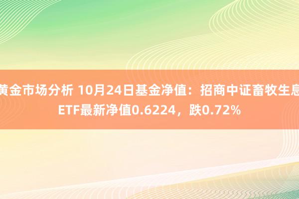 黄金市场分析 10月24日基金净值：招商中证畜牧生息ETF最新净值0.6224，跌0.72%