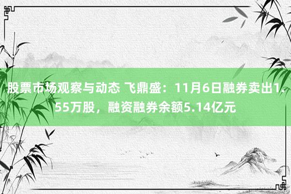 股票市场观察与动态 飞鼎盛：11月6日融券卖出1.55万股，融资融券余额5.14亿元