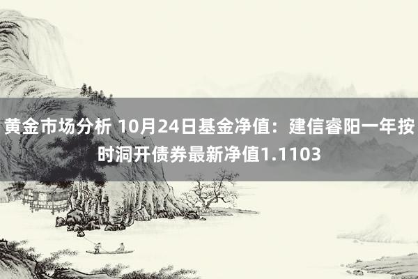 黄金市场分析 10月24日基金净值：建信睿阳一年按时洞开债券最新净值1.1103