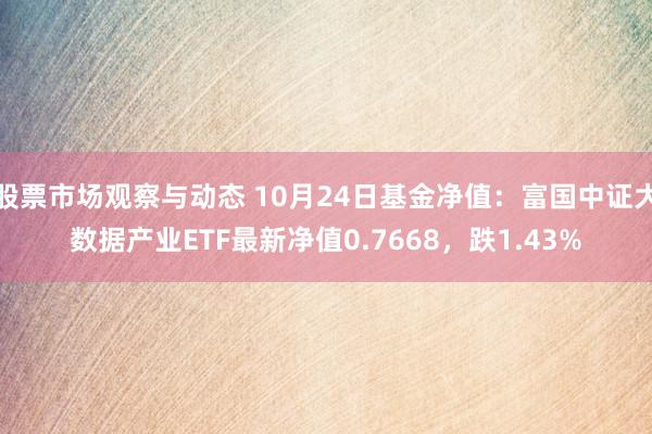 股票市场观察与动态 10月24日基金净值：富国中证大数据产业ETF最新净值0.7668，跌1.43%