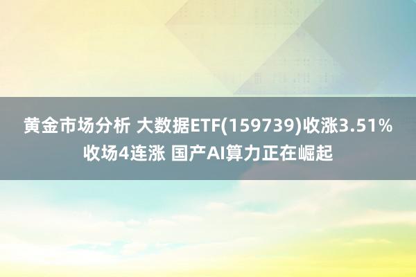 黄金市场分析 大数据ETF(159739)收涨3.51%收场4连涨 国产AI算力正在崛起