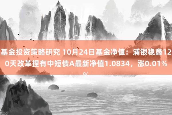 基金投资策略研究 10月24日基金净值：浦银稳鑫120天改革捏有中短债A最新净值1.0834，涨0.01%