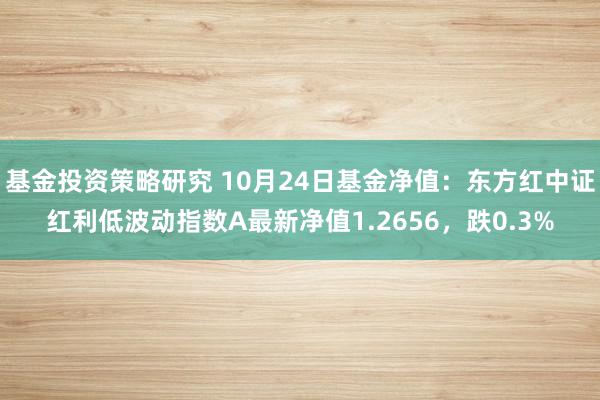 基金投资策略研究 10月24日基金净值：东方红中证红利低波动指数A最新净值1.2656，跌0.3%