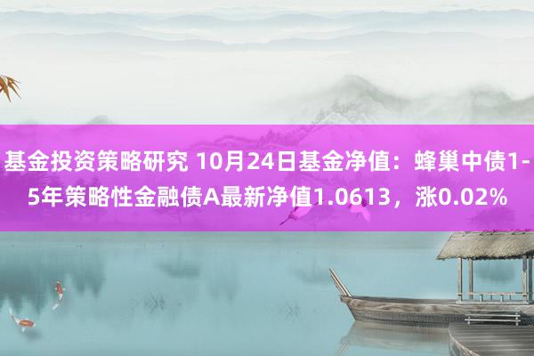 基金投资策略研究 10月24日基金净值：蜂巢中债1-5年策略性金融债A最新净值1.0613，涨0.02%