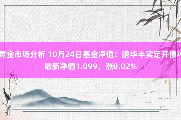 黄金市场分析 10月24日基金净值：鹏华丰实定开债A最新净值1.099，涨0.02%