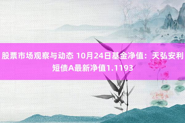 股票市场观察与动态 10月24日基金净值：天弘安利短债A最新净值1.1193