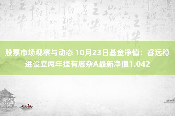 股票市场观察与动态 10月23日基金净值：睿远稳进设立两年捏有羼杂A最新净值1.042