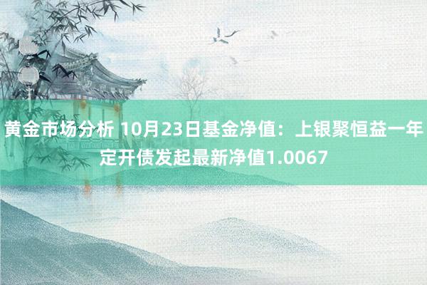 黄金市场分析 10月23日基金净值：上银聚恒益一年定开债发起最新净值1.0067