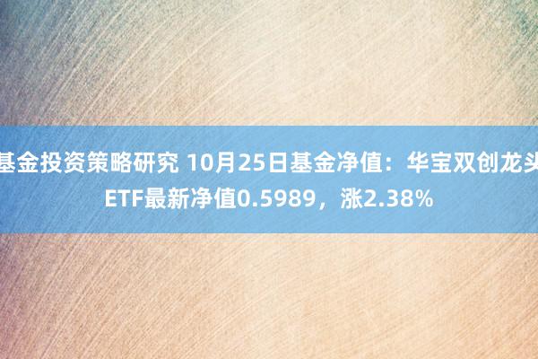 基金投资策略研究 10月25日基金净值：华宝双创龙头ETF最新净值0.5989，涨2.38%