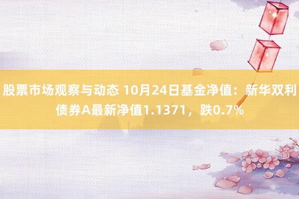 股票市场观察与动态 10月24日基金净值：新华双利债券A最新净值1.1371，跌0.7%