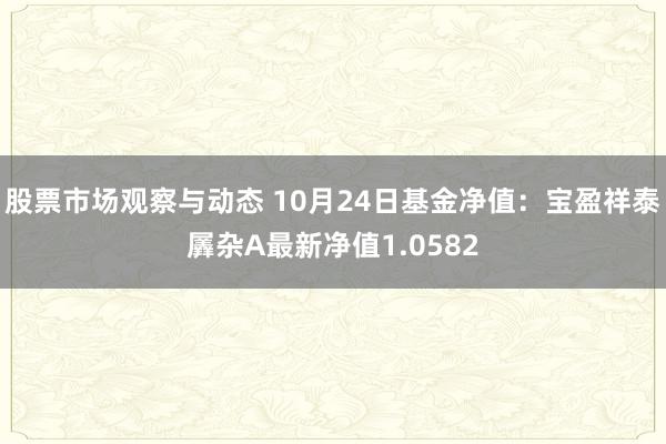 股票市场观察与动态 10月24日基金净值：宝盈祥泰羼杂A最新净值1.0582