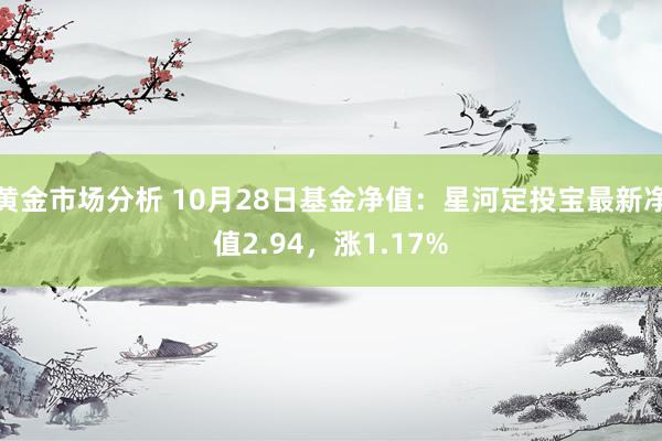 黄金市场分析 10月28日基金净值：星河定投宝最新净值2.94，涨1.17%