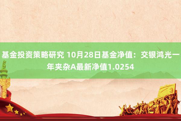 基金投资策略研究 10月28日基金净值：交银鸿光一年夹杂A最新净值1.0254