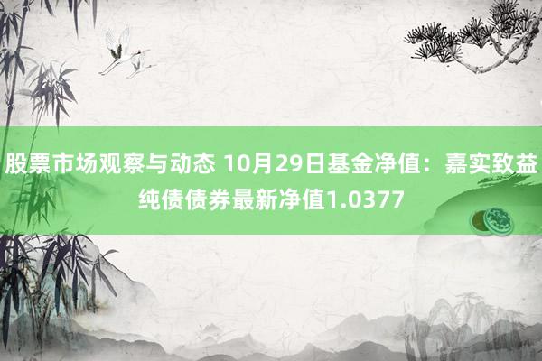 股票市场观察与动态 10月29日基金净值：嘉实致益纯债债券最新净值1.0377