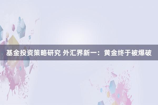 基金投资策略研究 外汇界新一：黄金终于被爆破