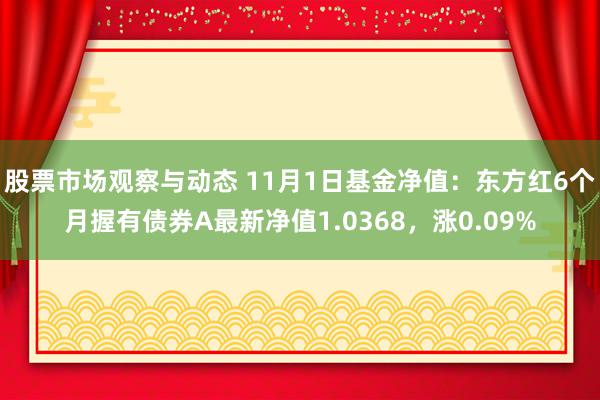 股票市场观察与动态 11月1日基金净值：东方红6个月握有债券A最新净值1.0368，涨0.09%