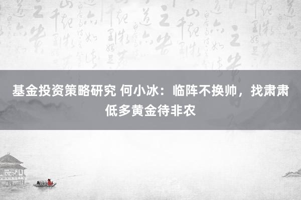 基金投资策略研究 何小冰：临阵不换帅，找肃肃低多黄金待非农