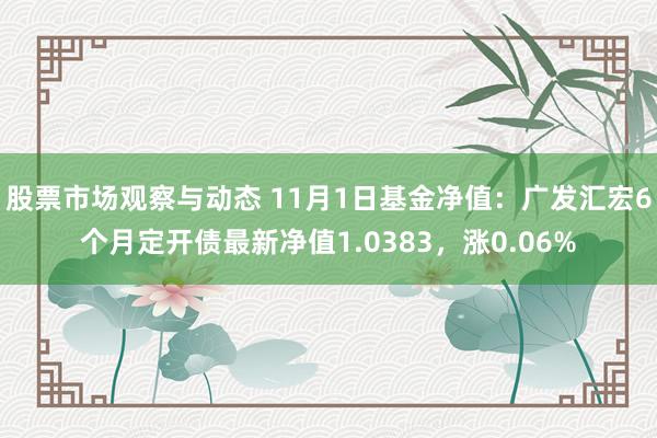 股票市场观察与动态 11月1日基金净值：广发汇宏6个月定开债最新净值1.0383，涨0.06%