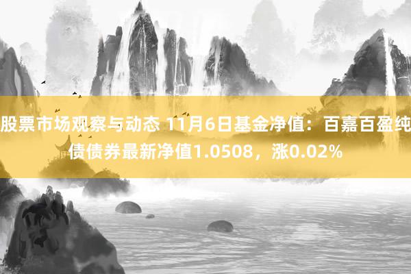 股票市场观察与动态 11月6日基金净值：百嘉百盈纯债债券最新净值1.0508，涨0.02%