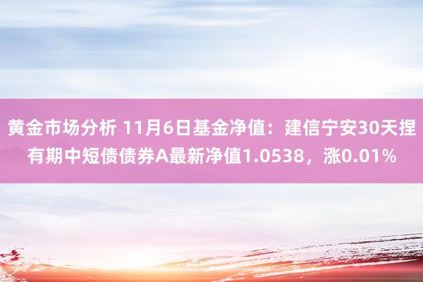 黄金市场分析 11月6日基金净值：建信宁安30天捏有期中短债债券A最新净值1.0538，涨0.01%