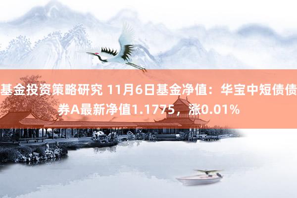 基金投资策略研究 11月6日基金净值：华宝中短债债券A最新净值1.1775，涨0.01%