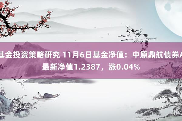 基金投资策略研究 11月6日基金净值：中原鼎航债券A最新净值1.2387，涨0.04%