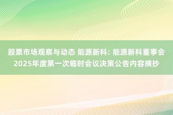 股票市场观察与动态 能源新科: 能源新科董事会2025年度第一次临时会议决策公告内容摘抄