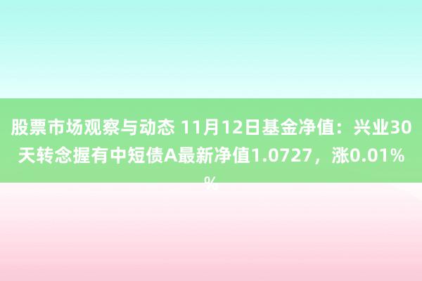 股票市场观察与动态 11月12日基金净值：兴业30天转念握有中短债A最新净值1.0727，涨0.01%