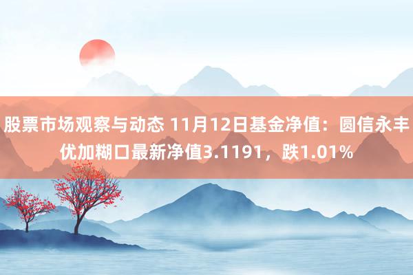 股票市场观察与动态 11月12日基金净值：圆信永丰优加糊口最新净值3.1191，跌1.01%