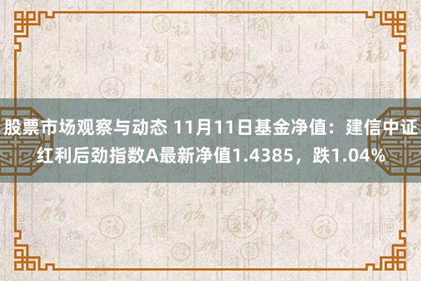 股票市场观察与动态 11月11日基金净值：建信中证红利后劲指数A最新净值1.4385，跌1.04%