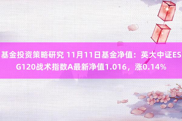 基金投资策略研究 11月11日基金净值：英大中证ESG120战术指数A最新净值1.016，涨0.14%