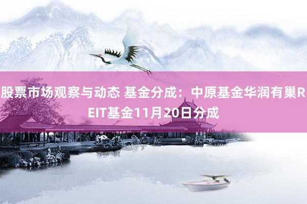 股票市场观察与动态 基金分成：中原基金华润有巢REIT基金11月20日分成