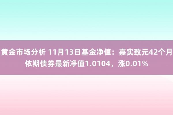 黄金市场分析 11月13日基金净值：嘉实致元42个月依期债券最新净值1.0104，涨0.01%