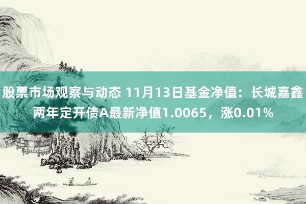 股票市场观察与动态 11月13日基金净值：长城嘉鑫两年定开债A最新净值1.0065，涨0.01%