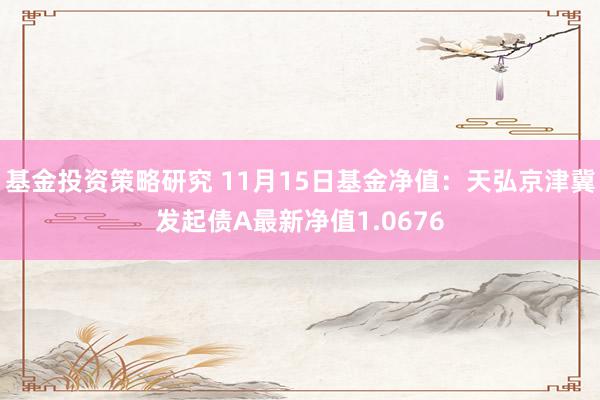 基金投资策略研究 11月15日基金净值：天弘京津冀发起债A最新净值1.0676