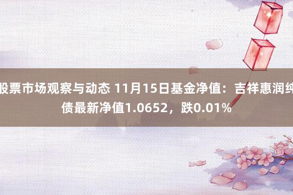 股票市场观察与动态 11月15日基金净值：吉祥惠润纯债最新净值1.0652，跌0.01%