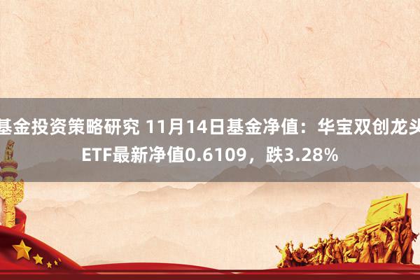 基金投资策略研究 11月14日基金净值：华宝双创龙头ETF最新净值0.6109，跌3.28%