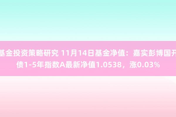 基金投资策略研究 11月14日基金净值：嘉实彭博国开债1-5年指数A最新净值1.0538，涨0.03%