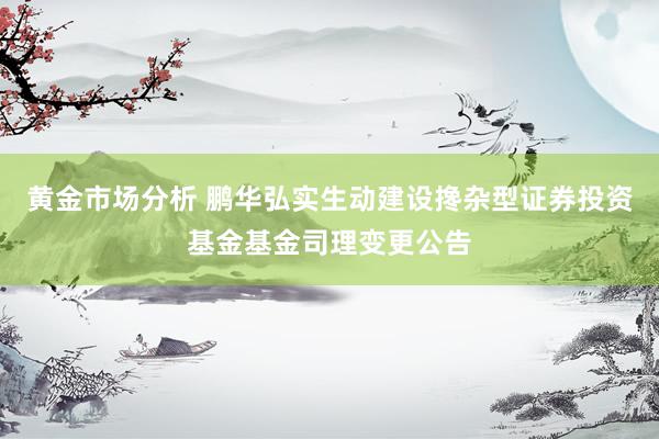 黄金市场分析 鹏华弘实生动建设搀杂型证券投资基金基金司理变更公告