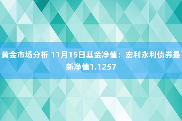 黄金市场分析 11月15日基金净值：宏利永利债券最新净值1.1257