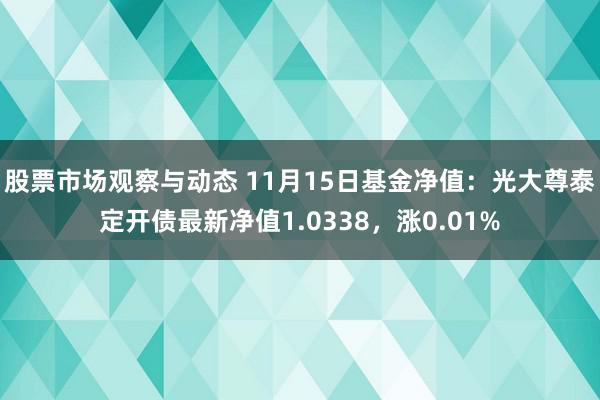 股票市场观察与动态 11月15日基金净值：光大尊泰定开债最新净值1.0338，涨0.01%