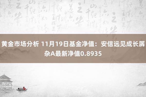 黄金市场分析 11月19日基金净值：安信远见成长羼杂A最新净值0.8935