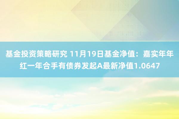 基金投资策略研究 11月19日基金净值：嘉实年年红一年合手有债券发起A最新净值1.0647