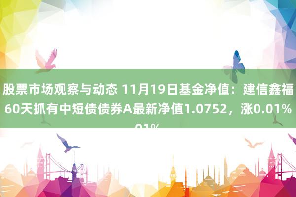 股票市场观察与动态 11月19日基金净值：建信鑫福60天抓有中短债债券A最新净值1.0752，涨0.01%