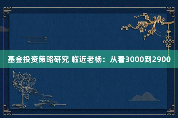 基金投资策略研究 临近老杨：从看3000到2900