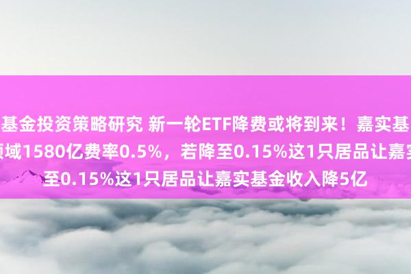 基金投资策略研究 新一轮ETF降费或将到来！嘉实基金沪深300ETF领域1580亿费率0.5%，若降至0.15%这1只居品让嘉实基金收入降5亿