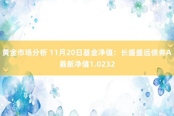 黄金市场分析 11月20日基金净值：长盛盛远债券A最新净值1.0232