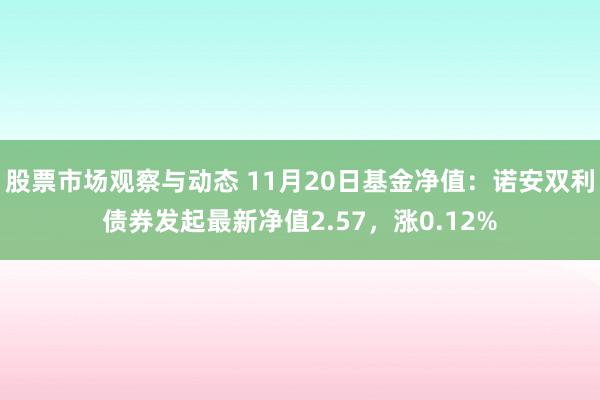 股票市场观察与动态 11月20日基金净值：诺安双利债券发起最新净值2.57，涨0.12%